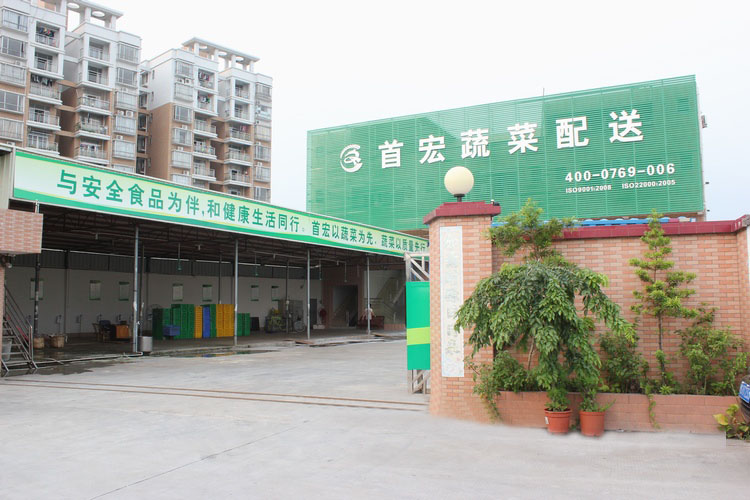 广州蔬菜配送